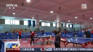pa视讯游戏 乒乓球台上怎么放球拍